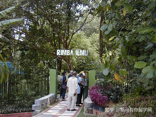 馬來亞大學(圖5) 馬來亞大學(圖5)